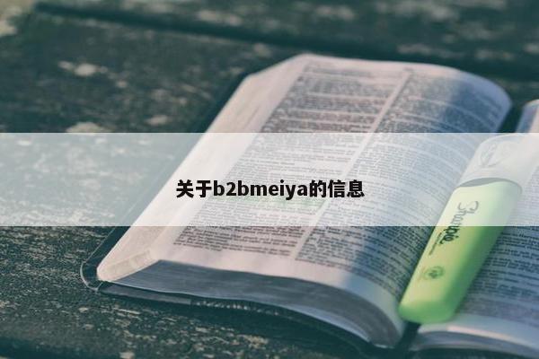 关于b2bmeiya的信息