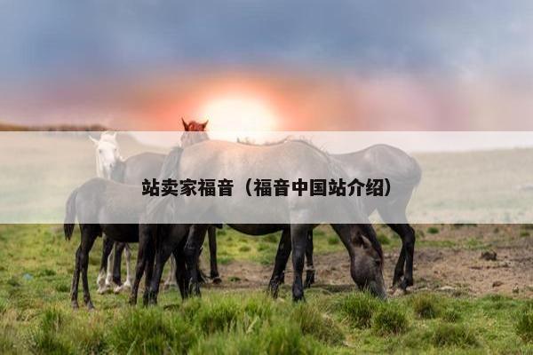站卖家福音（福音中国站介绍）