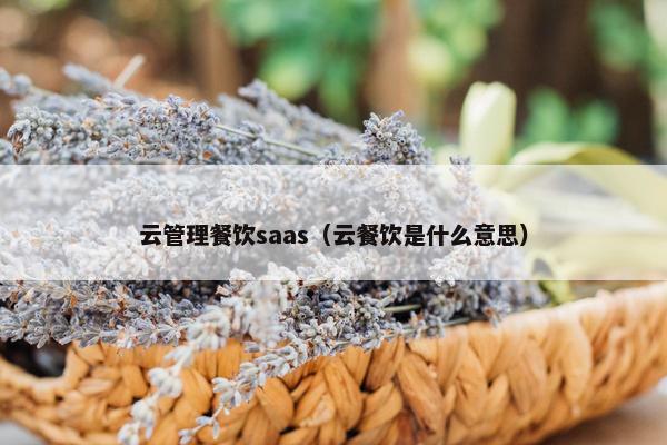 云管理餐饮saas（云餐饮是什么意思）