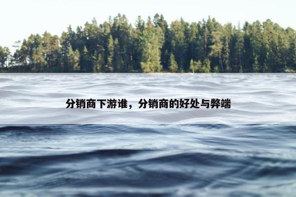 分销商下游谁，分销商的好处与弊端