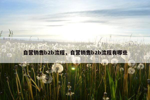 自营销售b2b流程，自营销售b2b流程有哪些