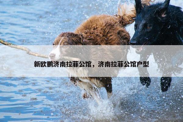 新欧鹏济南拉菲公馆，济南拉菲公馆户型