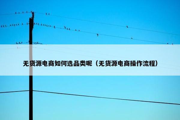 无货源电商如何选品类呢（无货源电商操作流程）