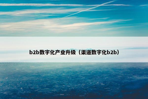 b2b数字化产业升级（渠道数字化b2b）