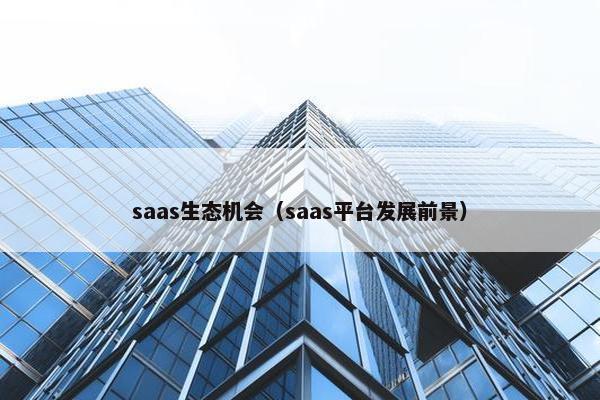 saas生态机会（saas平台发展前景）