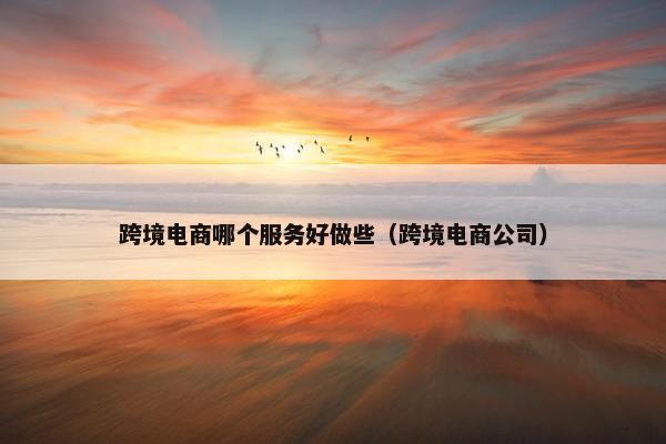 跨境电商哪个服务好做些（跨境电商公司）