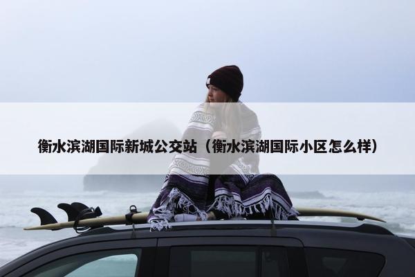 衡水滨湖国际新城公交站（衡水滨湖国际小区怎么样）