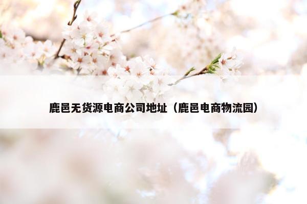 鹿邑无货源电商公司地址（鹿邑电商物流园）