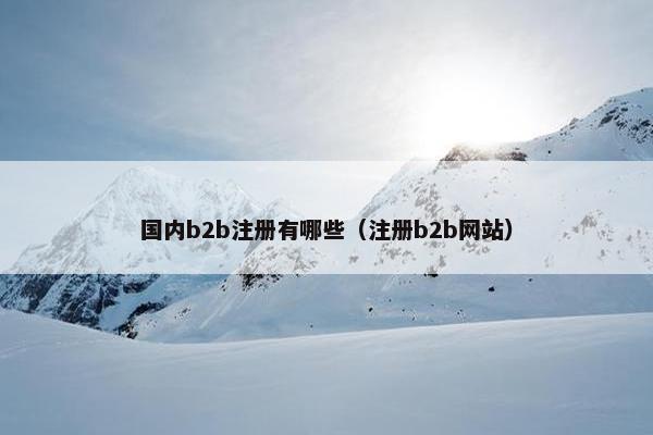 国内b2b注册有哪些（注册b2b网站）