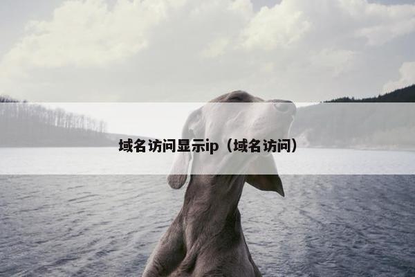 域名访问显示ip（域名访问）