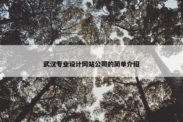 武汉专业设计网站公司的简单介绍