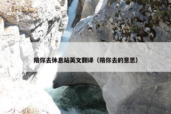 陪你去休息站英文翻译（陪你去的意思）