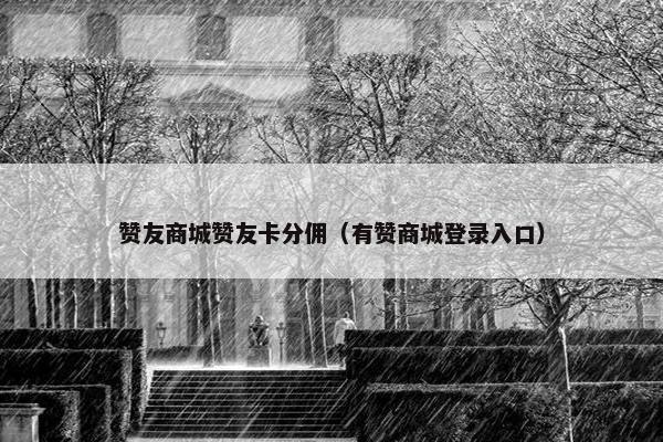 赞友商城赞友卡分佣（有赞商城登录入口）