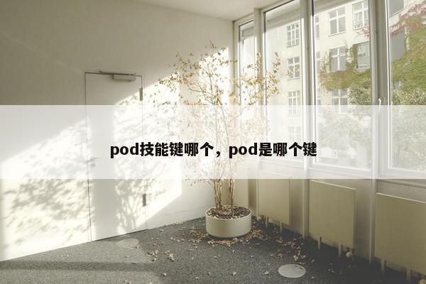 pod技能键哪个，pod是哪个键