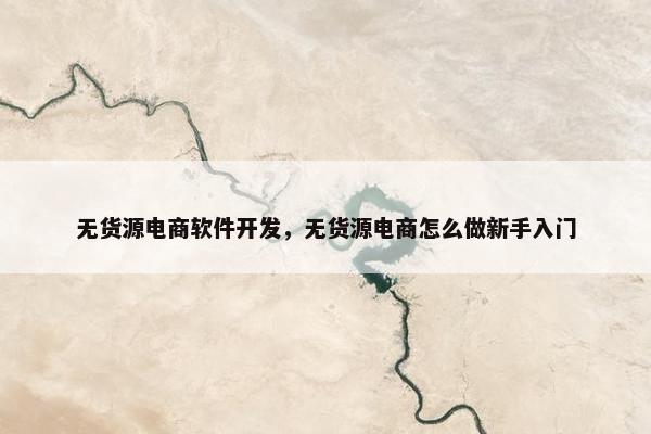 无货源电商软件开发，无货源电商怎么做新手入门