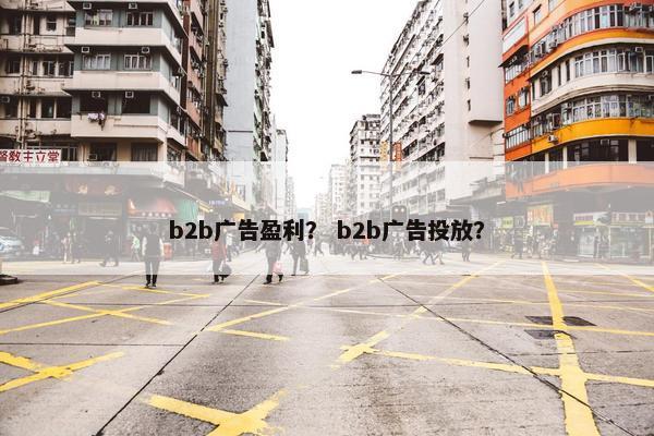 b2b广告盈利？ b2b广告投放？