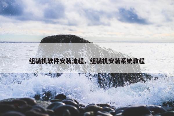 组装机软件安装流程，组装机安装系统教程