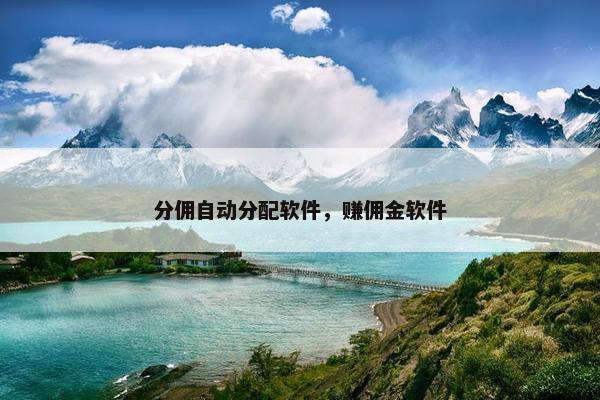 分佣自动分配软件，赚佣金软件