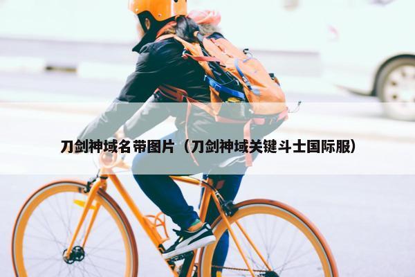 刀剑神域名带图片（刀剑神域关键斗士国际服）