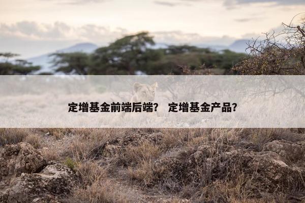 定增基金前端后端？ 定增基金产品？