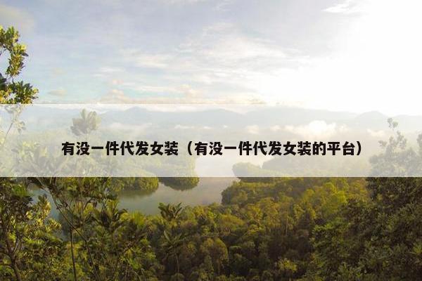 有没一件代发女装（有没一件代发女装的平台）