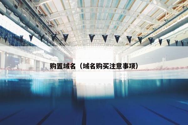 购置域名（域名购买注意事项）