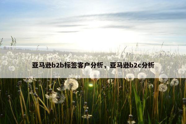 亚马逊b2b标签客户分析，亚马逊b2c分析