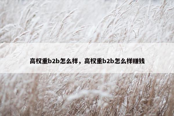 高权重b2b怎么样，高权重b2b怎么样赚钱