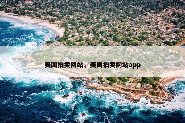 美国拍卖网站，美国拍卖网站app