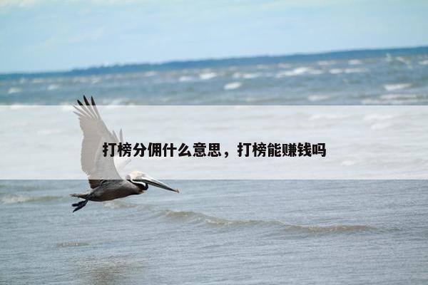 打榜分佣什么意思，打榜能赚钱吗