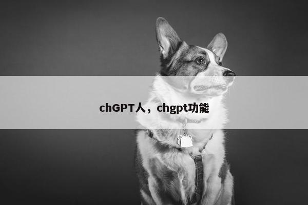 chGPT人，chgpt功能