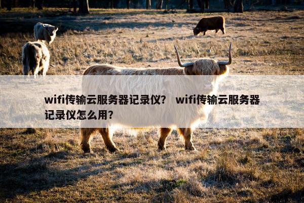 wifi传输云服务器记录仪？ wifi传输云服务器记录仪怎么用？