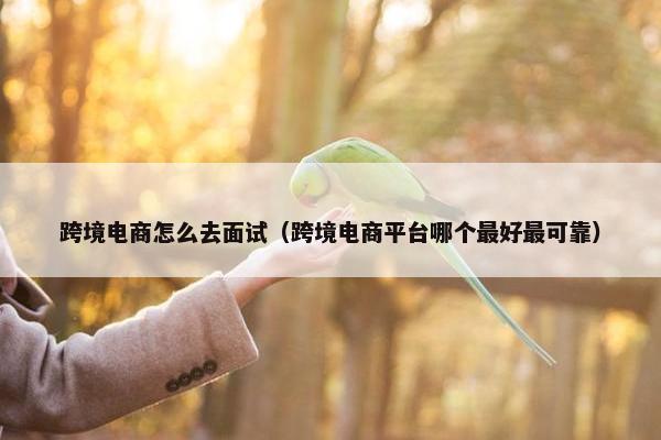 跨境电商怎么去面试（跨境电商平台哪个最好最可靠）