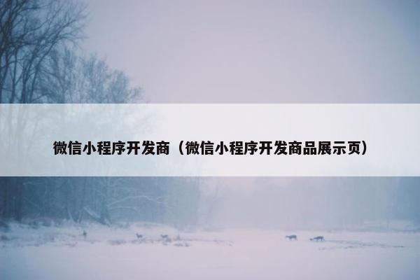 微信小程序开发商（微信小程序开发商品展示页）