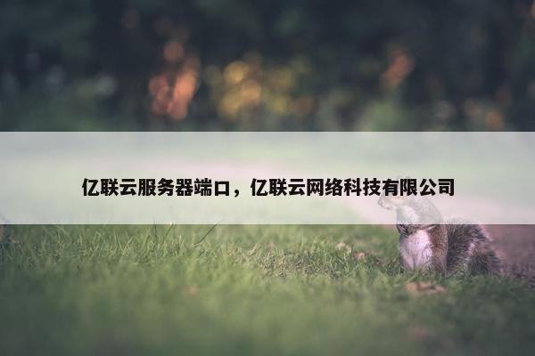 亿联云服务器端口，亿联云网络科技有限公司
