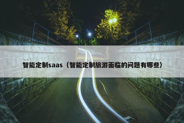 智能定制saas（智能定制旅游面临的问题有哪些）