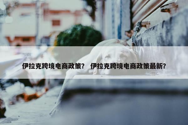 伊拉克跨境电商政策？ 伊拉克跨境电商政策最新？