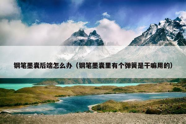 钢笔墨囊后端怎么办（钢笔墨囊里有个弹簧是干嘛用的）