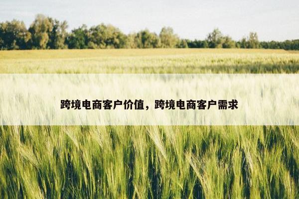 跨境电商客户价值，跨境电商客户需求