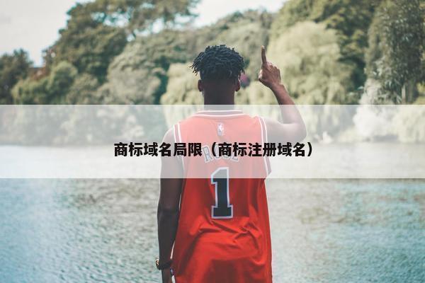 商标域名局限（商标注册域名）