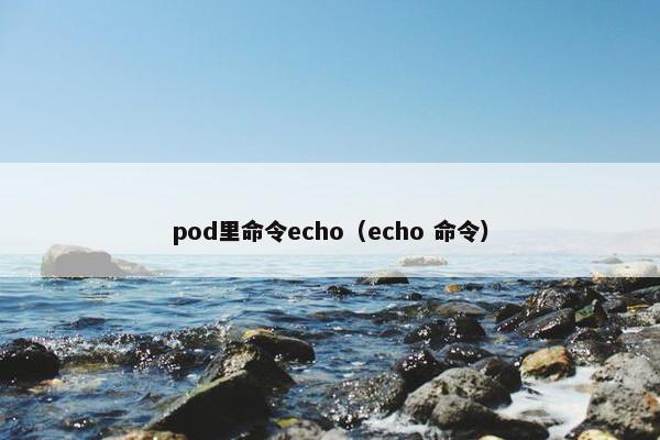 pod里命令echo（echo 命令）