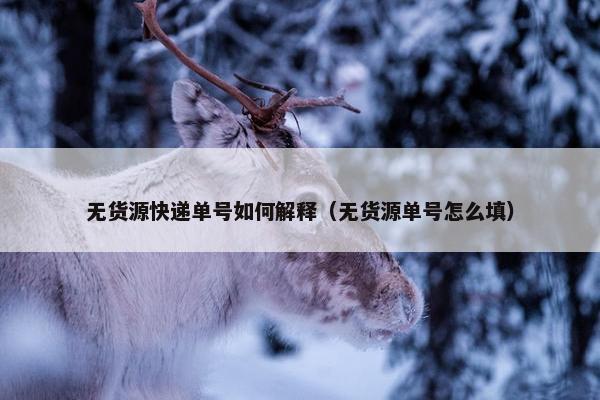 无货源快递单号如何解释（无货源单号怎么填）