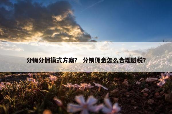 分销分佣模式方案？ 分销佣金怎么合理避税？