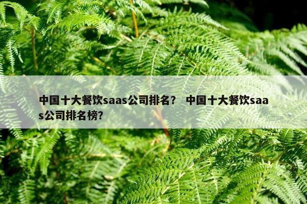 中国十大餐饮saas公司排名？ 中国十大餐饮saas公司排名榜？
