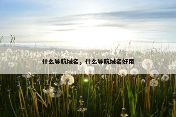 什么导航域名，什么导航域名好用