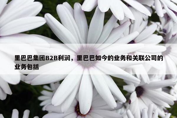 里巴巴集团B2B利润，里巴巴如今的业务和关联公司的业务包括