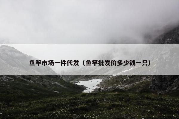 鱼竿市场一件代发（鱼竿批发价多少钱一只）