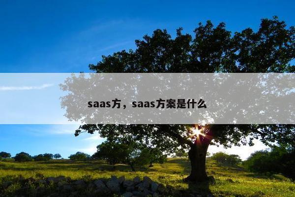 saas方，saas方案是什么