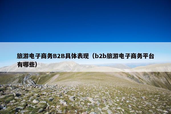 旅游电子商务B2B具体表现（b2b旅游电子商务平台有哪些）