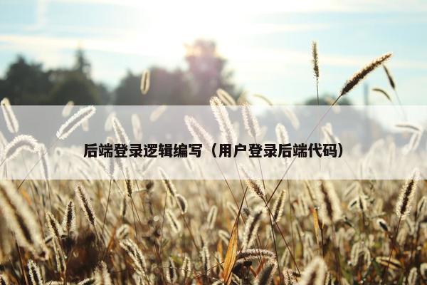 后端登录逻辑编写（用户登录后端代码）